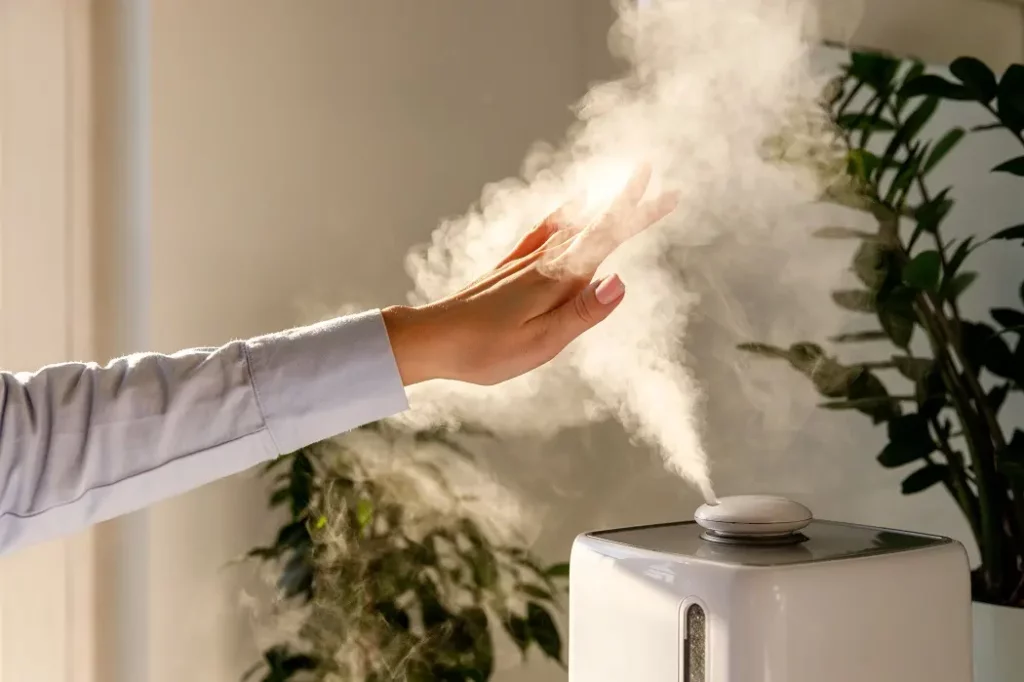 4. Use a Humidifier