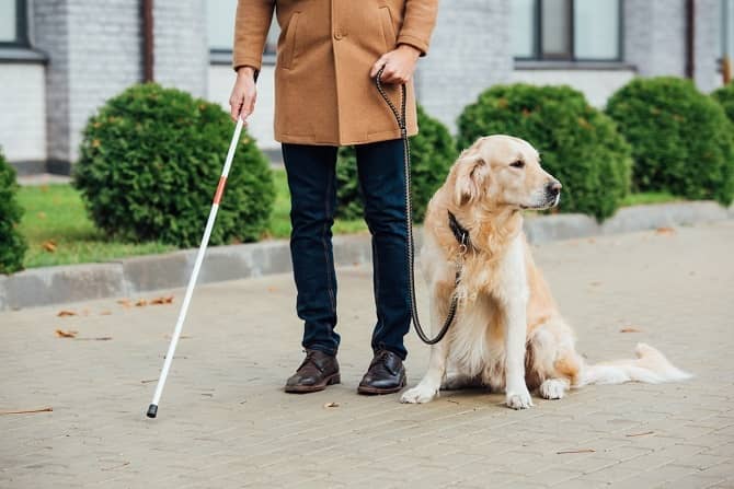 How Long After Cataract Surgery Can You Drive 