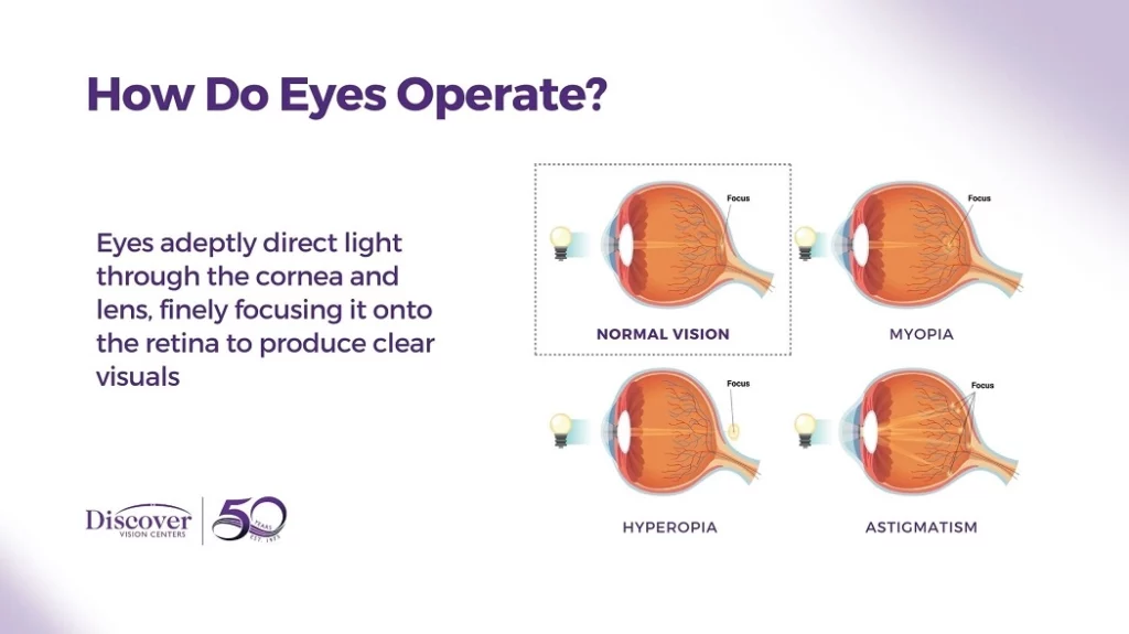 How Do Eyes Operate?